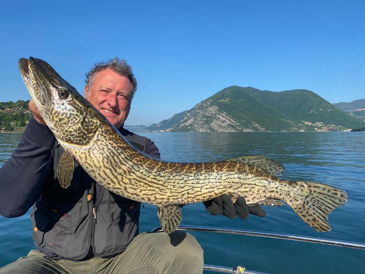 In Riva Al Lago Di Iseo Dependance Primo Piano Marone Exteriör bild